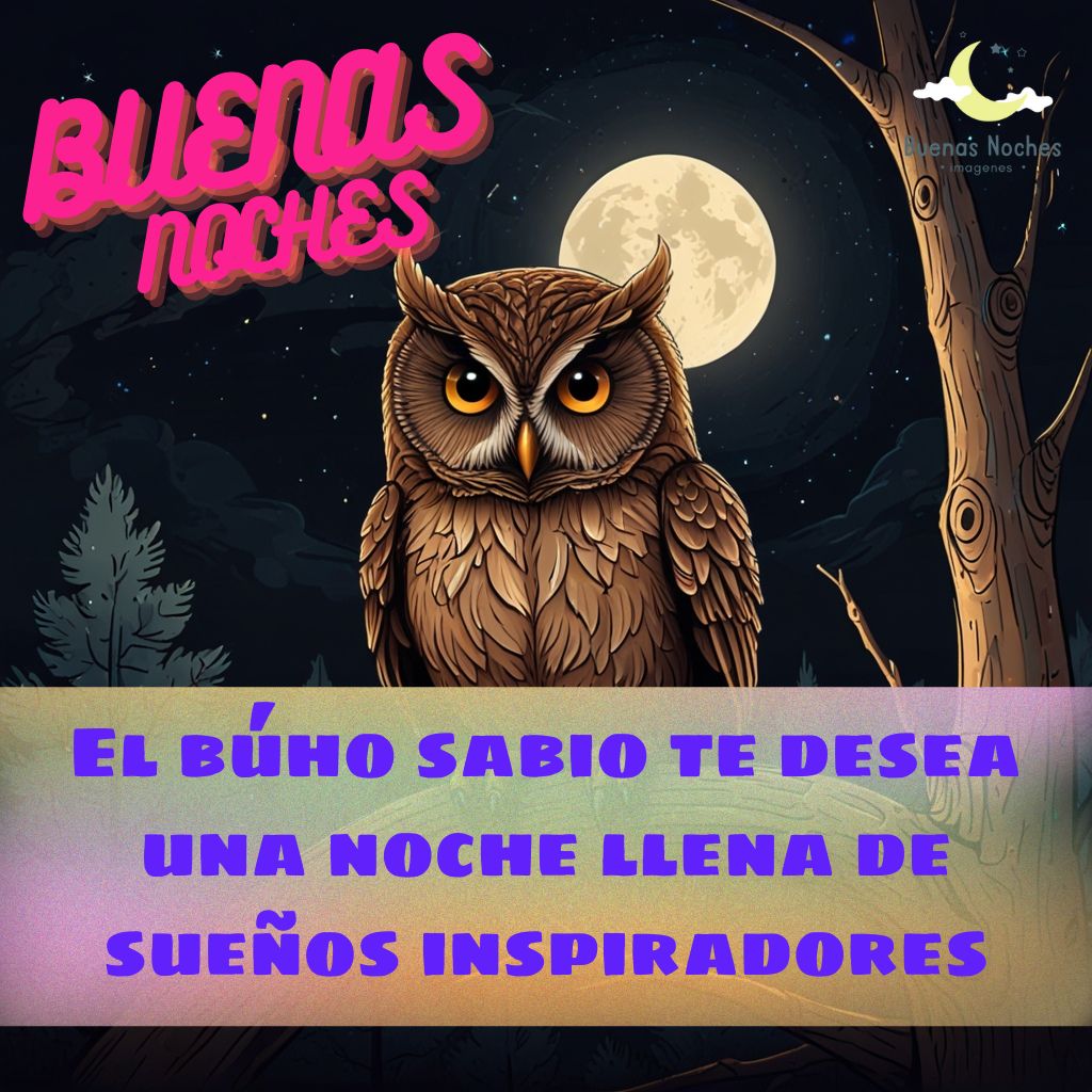 Imagenes de buenas noches con buhos 12