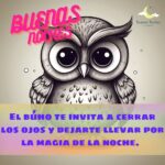 Imagenes de buenas noches con buhos 16