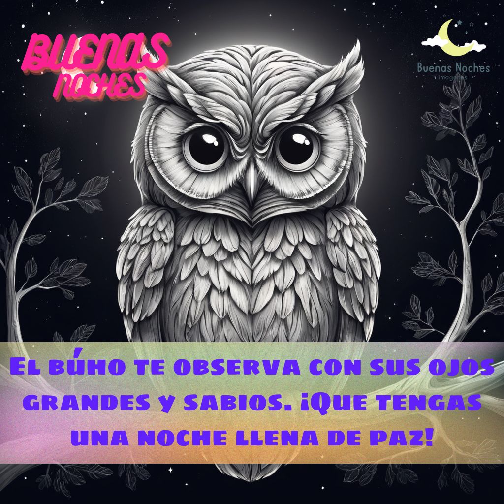 Imagenes de buenas noches con buhos 20