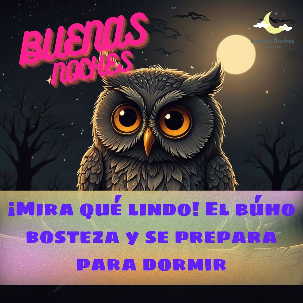 Imagenes de buenas noches con buhos 21