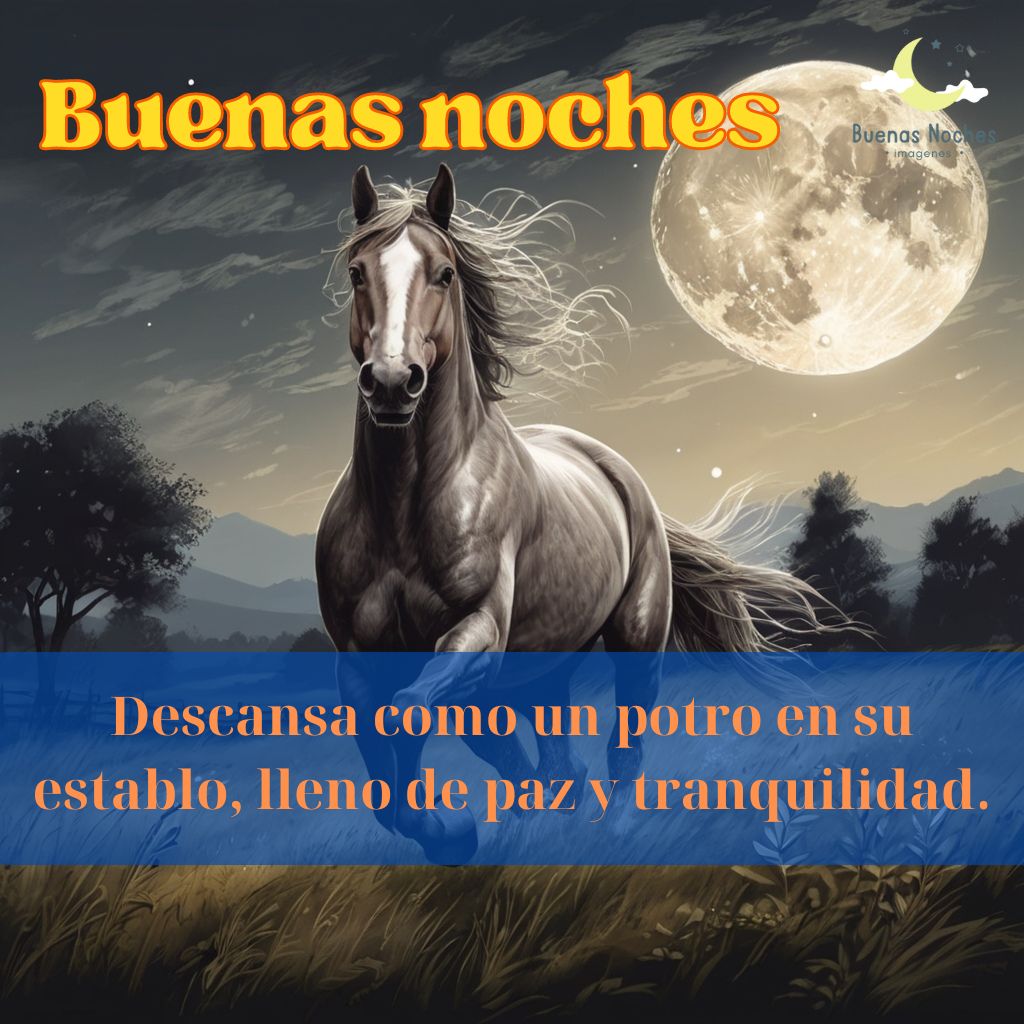 Imagenes de buenas noches con caballos 11