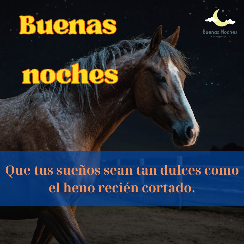 Imagenes de buenas noches con caballos 15