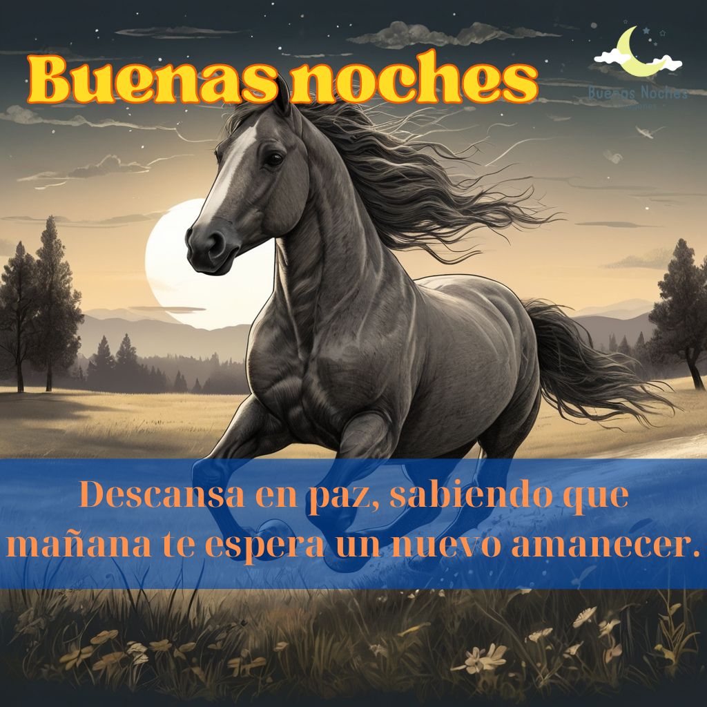 Imagenes de buenas noches con caballos 19