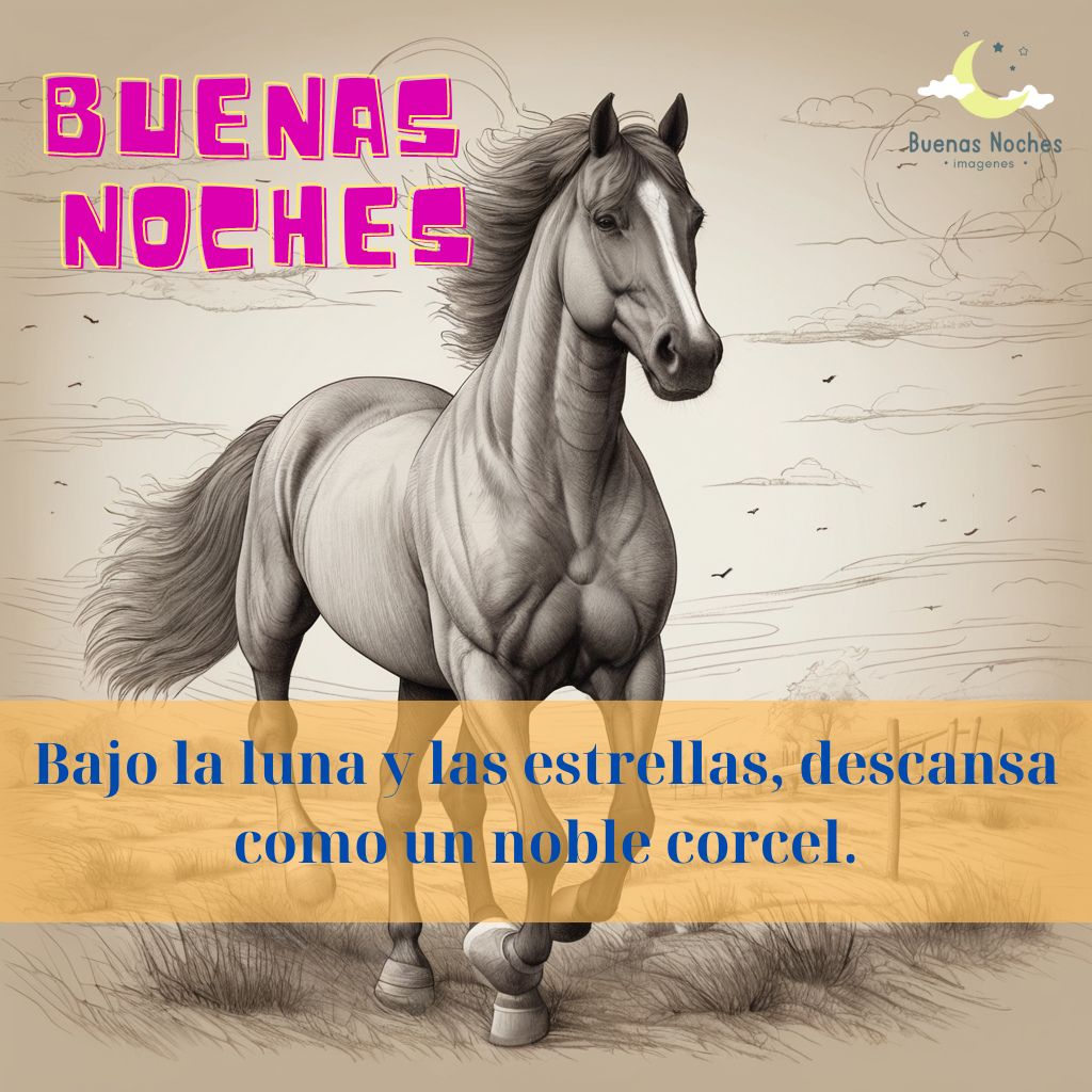 Imagenes de buenas noches con caballos 2