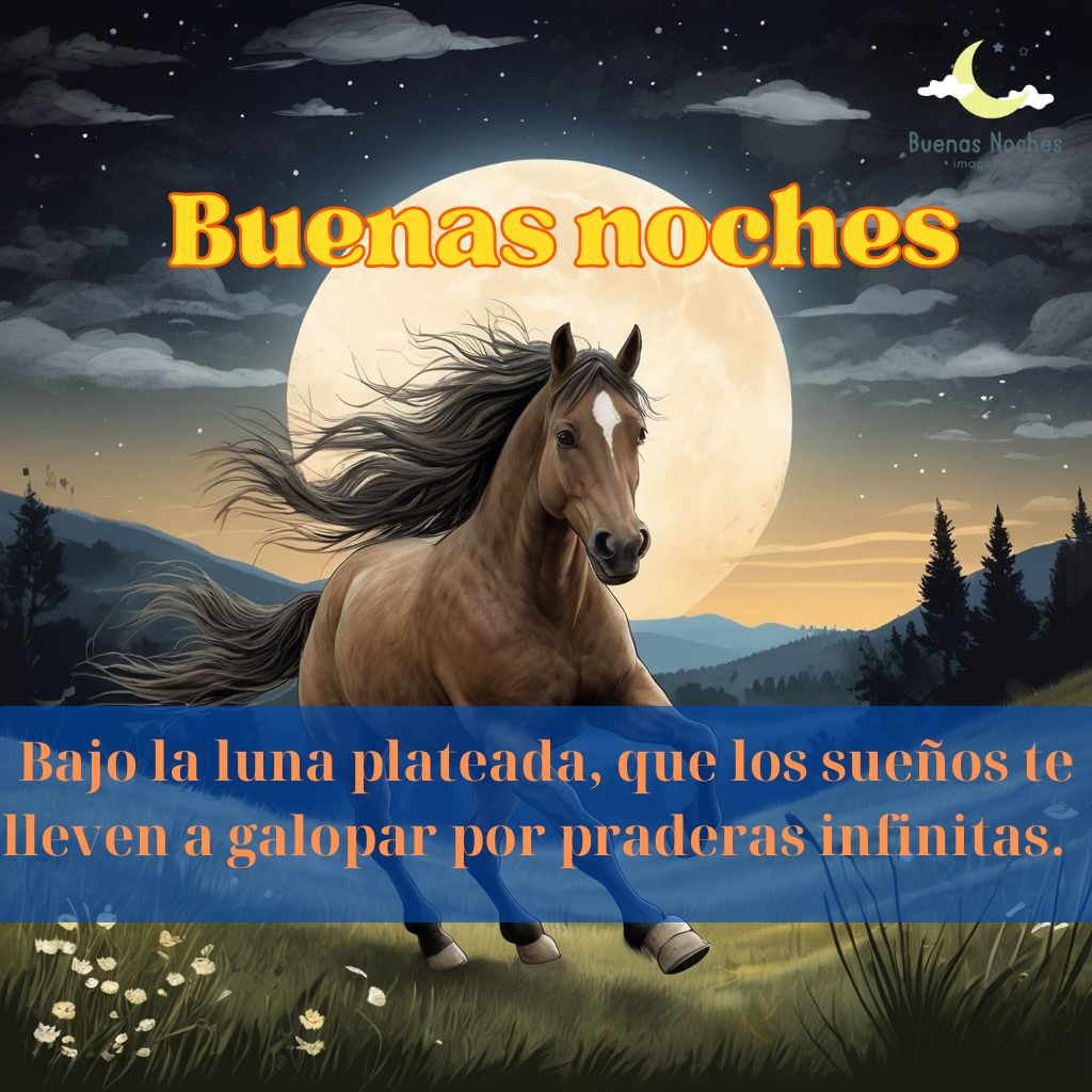 Imagenes de buenas noches con caballos 20