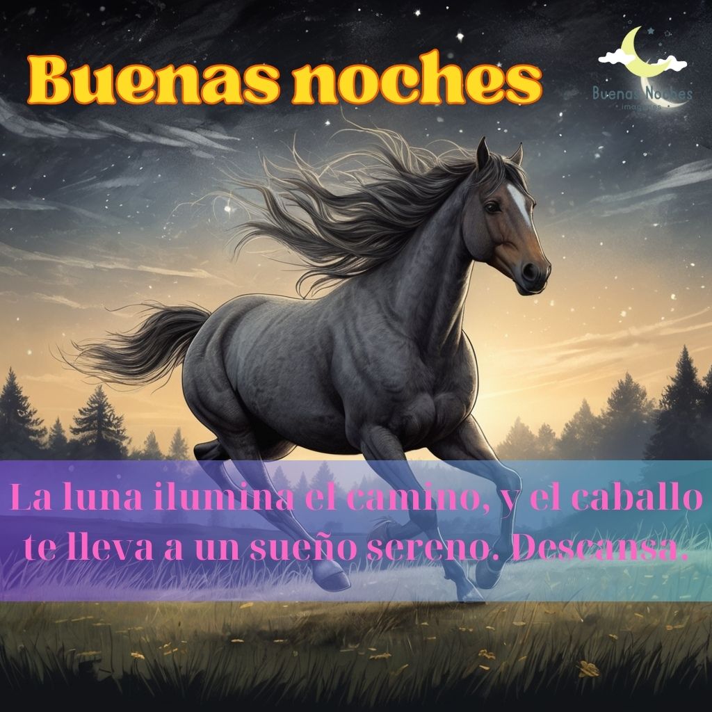 Imagenes de buenas noches con caballos 21