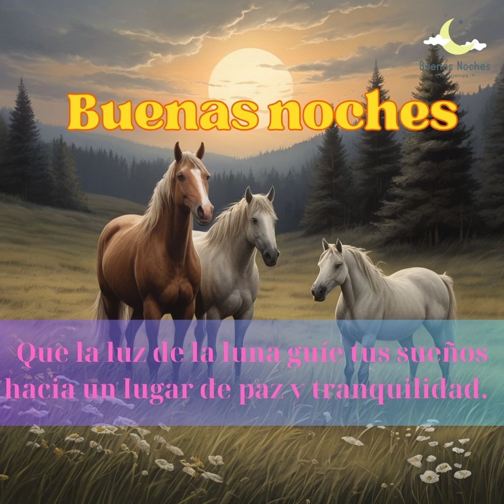 Imagenes de buenas noches con caballos 24