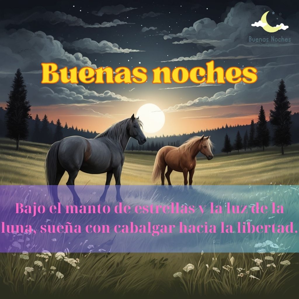 Imagenes de buenas noches con caballos 25