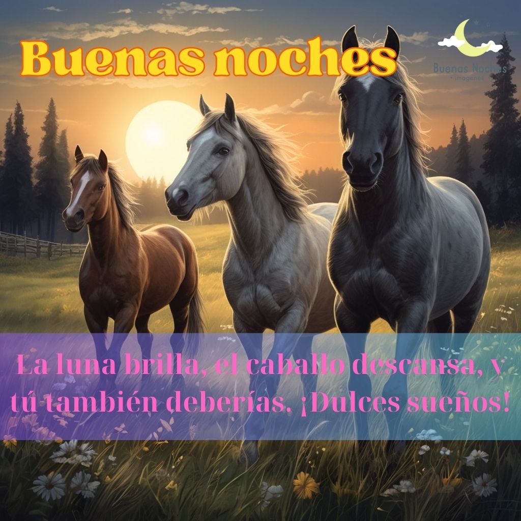 Imagenes de buenas noches con caballos 27