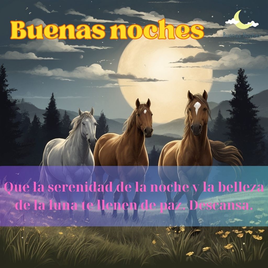 Imagenes de buenas noches con caballos 28