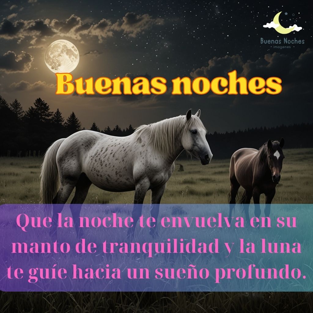 Imagenes de buenas noches con caballos 33