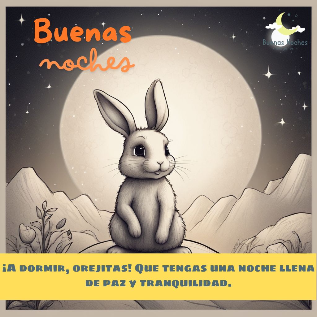 Imagenes de buenas noches con conejos 3