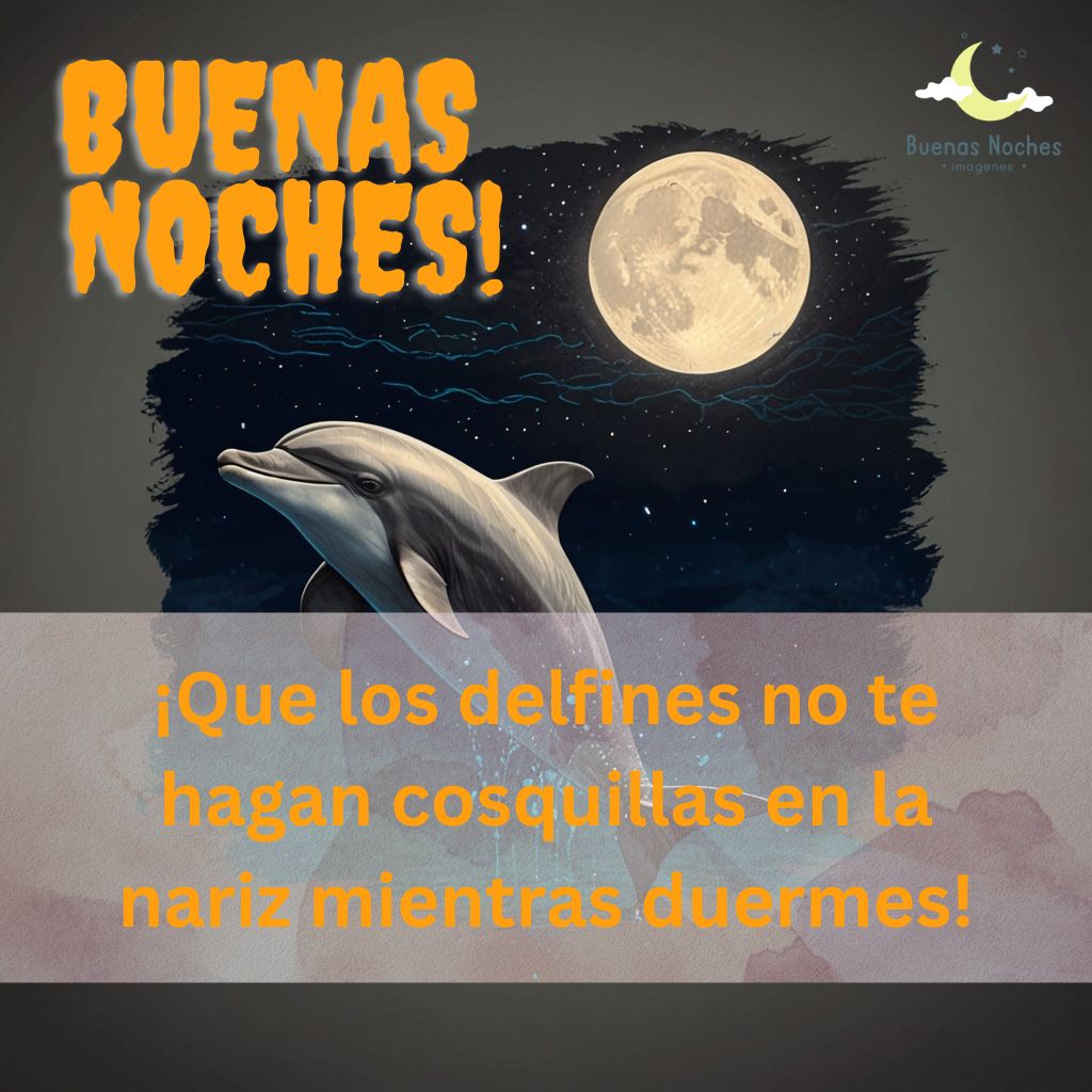 Imagenes de buenas noches con delfines 10