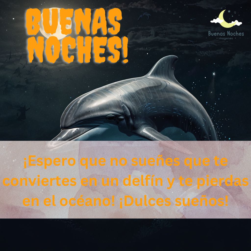 Imagenes de buenas noches con delfines 11