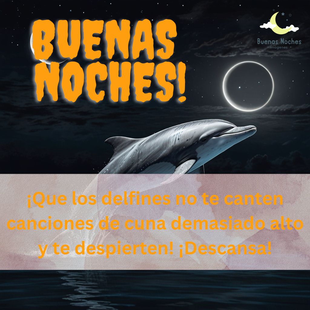 Imagenes de buenas noches con delfines 12