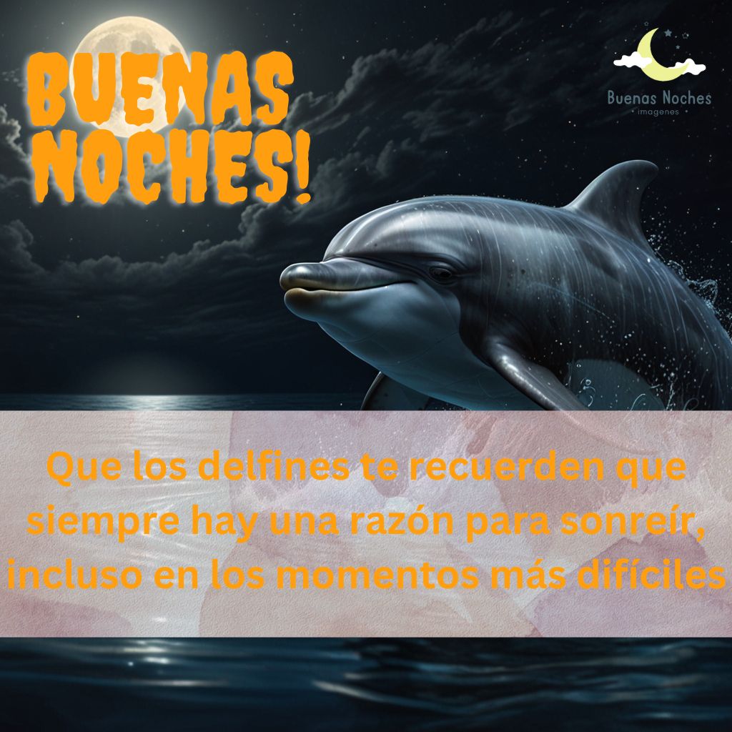 Imagenes de buenas noches con delfines 13