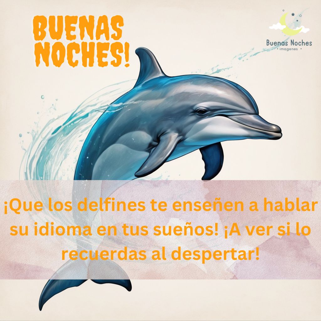 Imagenes de buenas noches con delfines 14