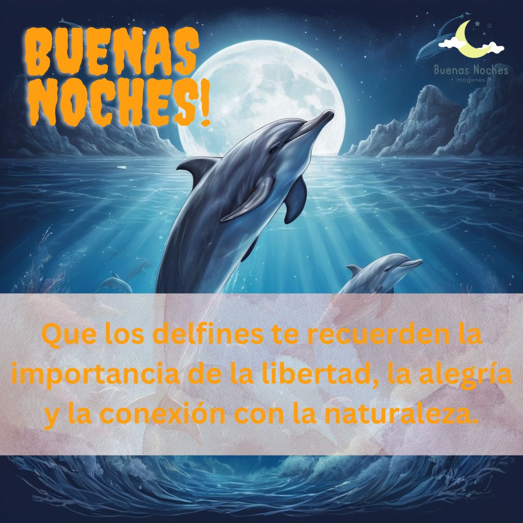 Imagenes de buenas noches con delfines 15