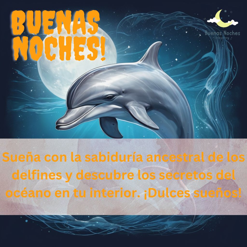 Imagenes de buenas noches con delfines 16