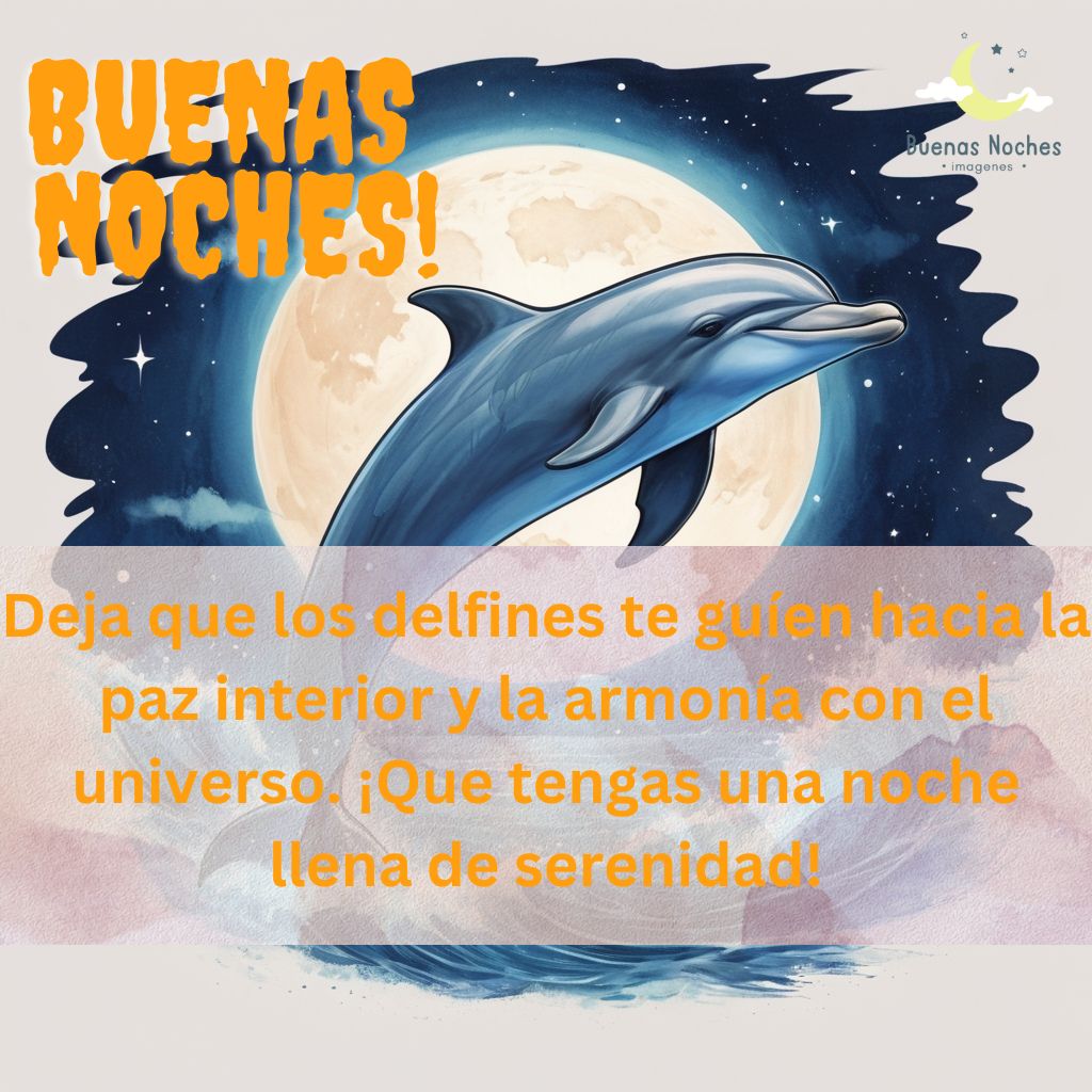 Imagenes de buenas noches con delfines 18