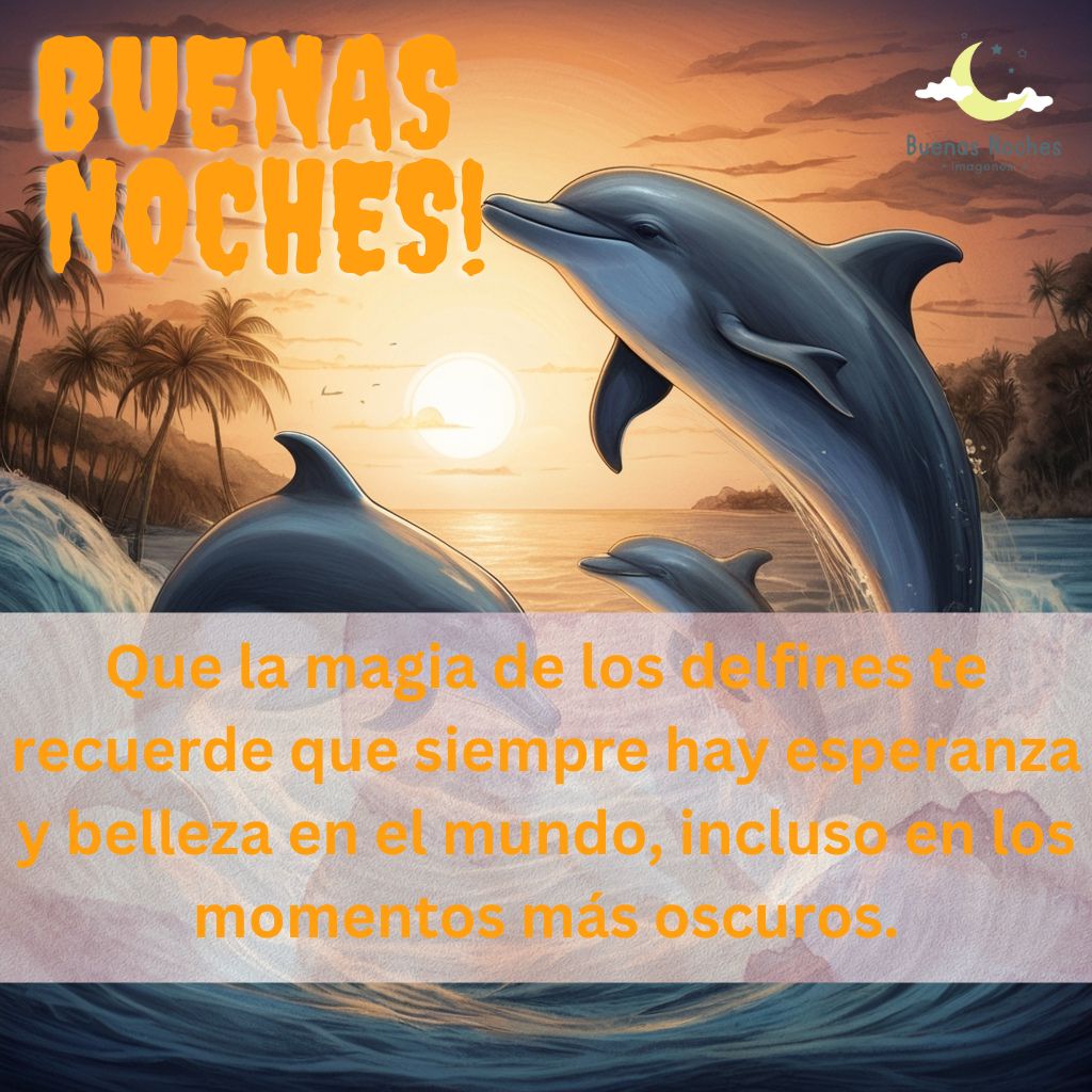 Imagenes de buenas noches con delfines 19