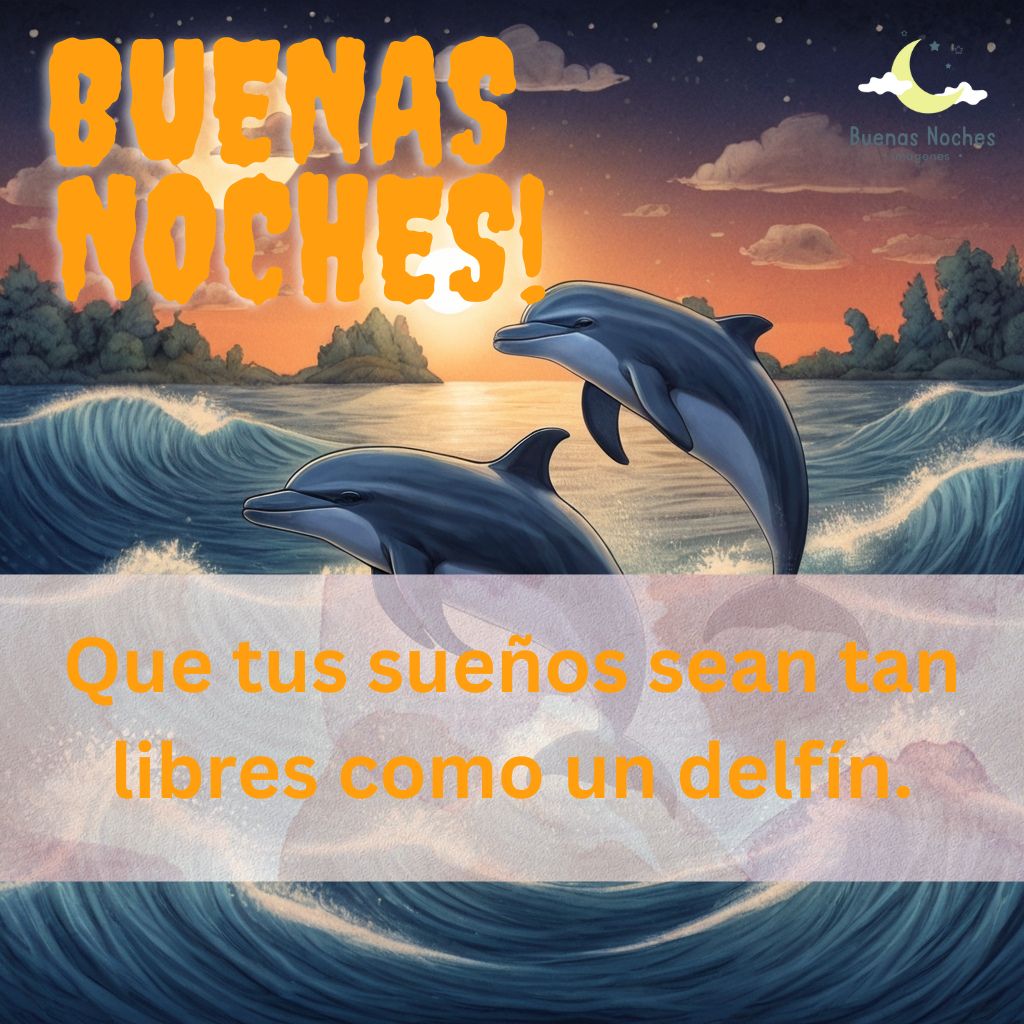 Imagenes de buenas noches con delfines 20