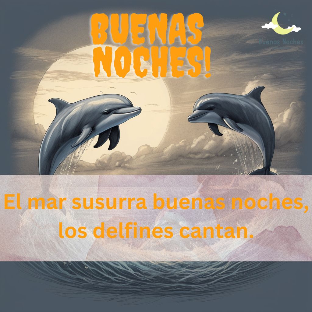 Imagenes de buenas noches con delfines 21