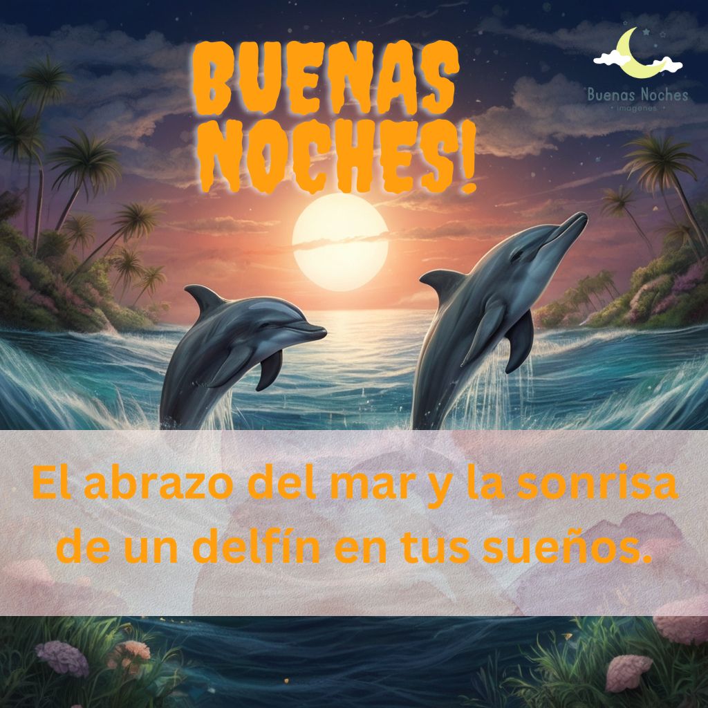 Imagenes de buenas noches con delfines 23