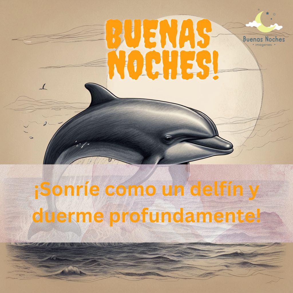 Imagenes de buenas noches con delfines 25