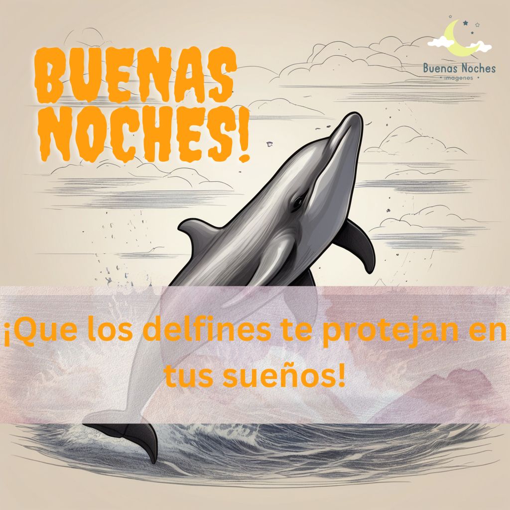 Imagenes de buenas noches con delfines 26