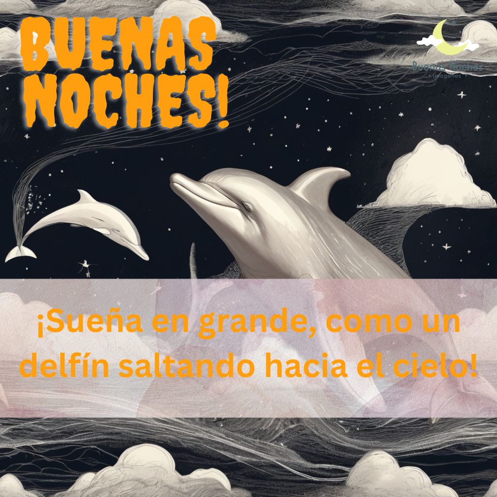 Imagenes de buenas noches con delfines 27