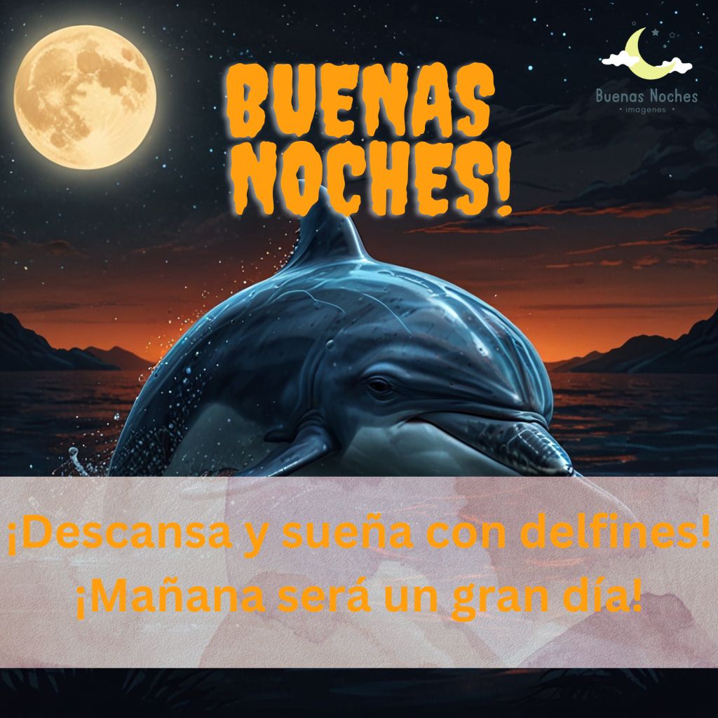 Imagenes de buenas noches con delfines 29