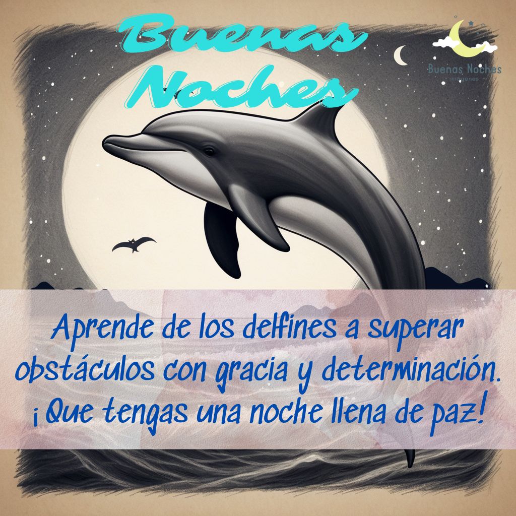 Imagenes de buenas noches con delfines 3