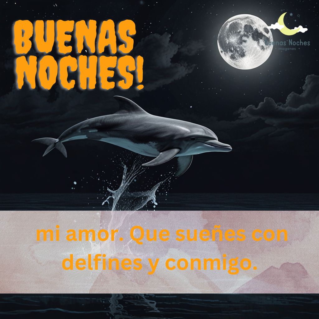 Imagenes de buenas noches con delfines 30