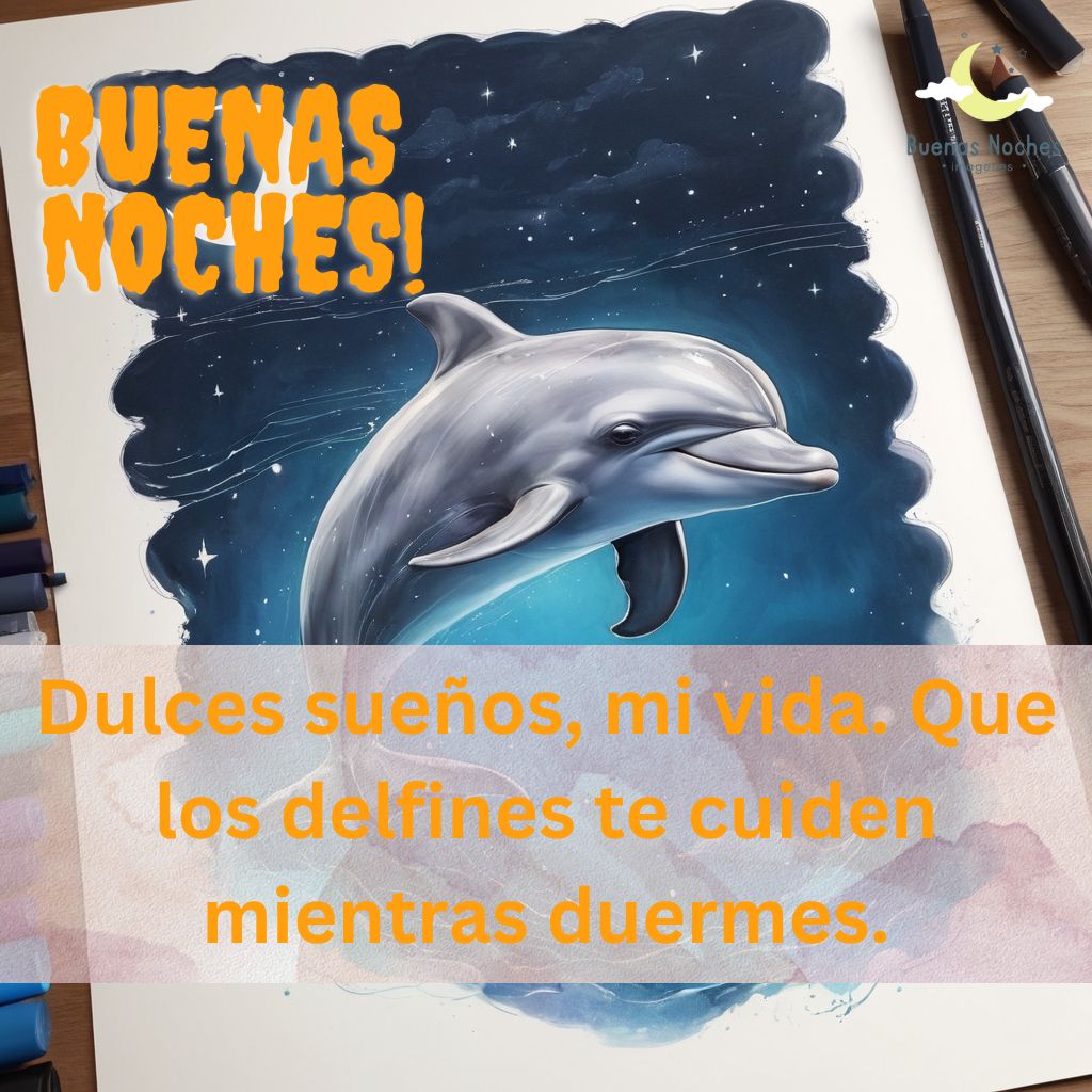 Imagenes de buenas noches con delfines 31