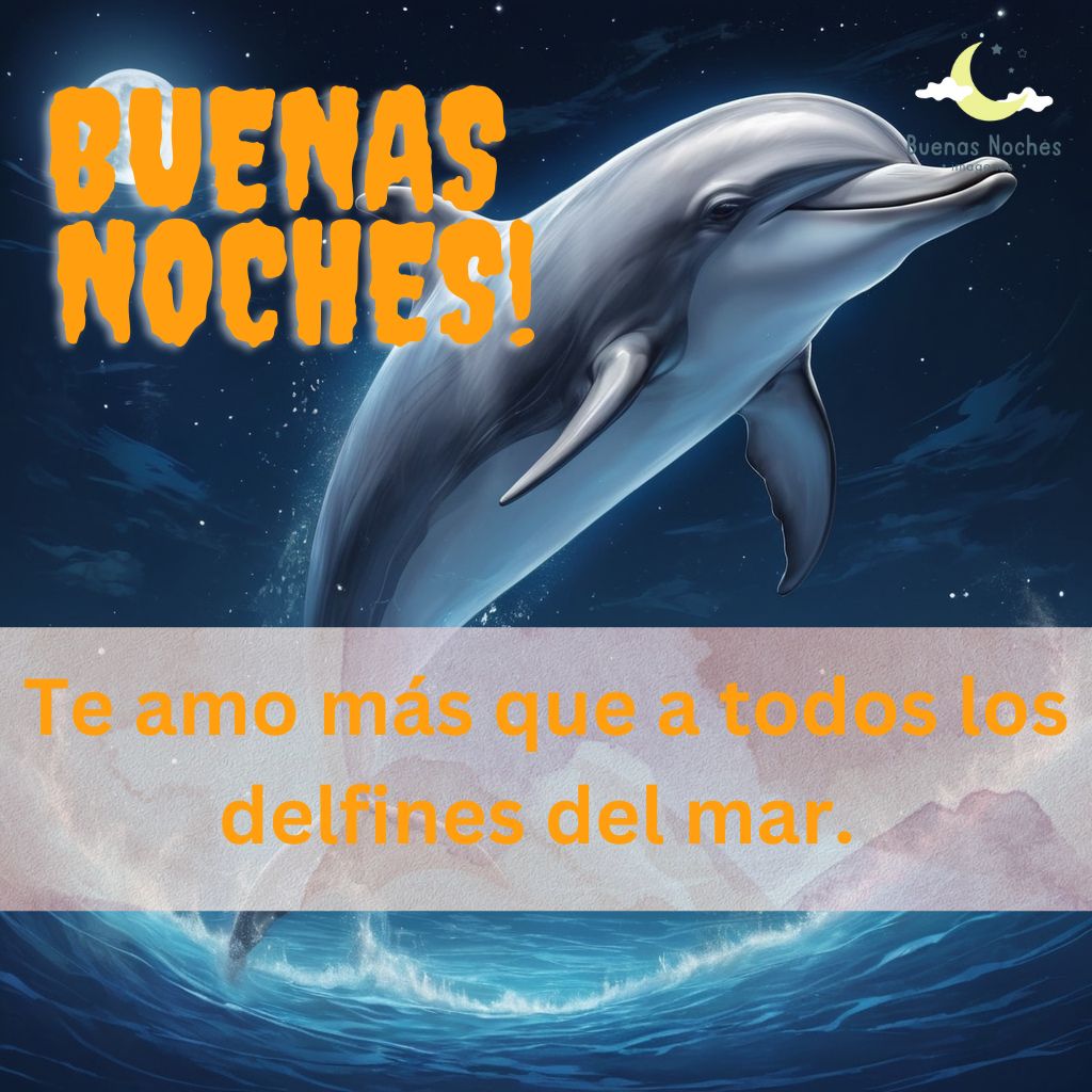 Imagenes de buenas noches con delfines 32