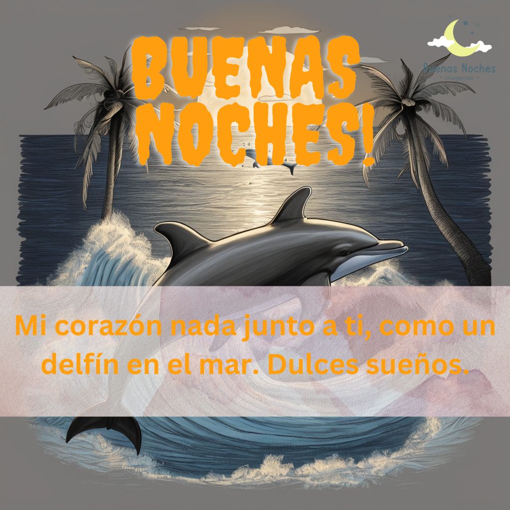 Imagenes de buenas noches con delfines 35