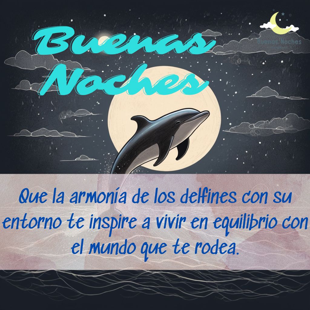 Imagenes de buenas noches con delfines 6