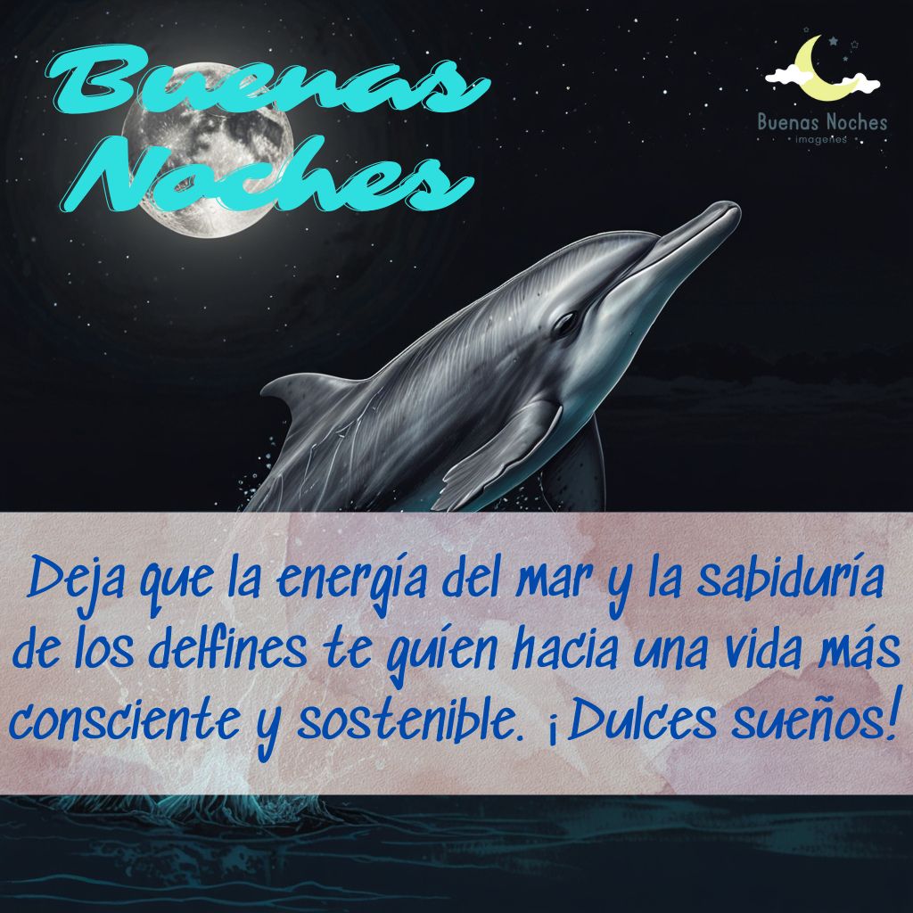 Imagenes de buenas noches con delfines 7