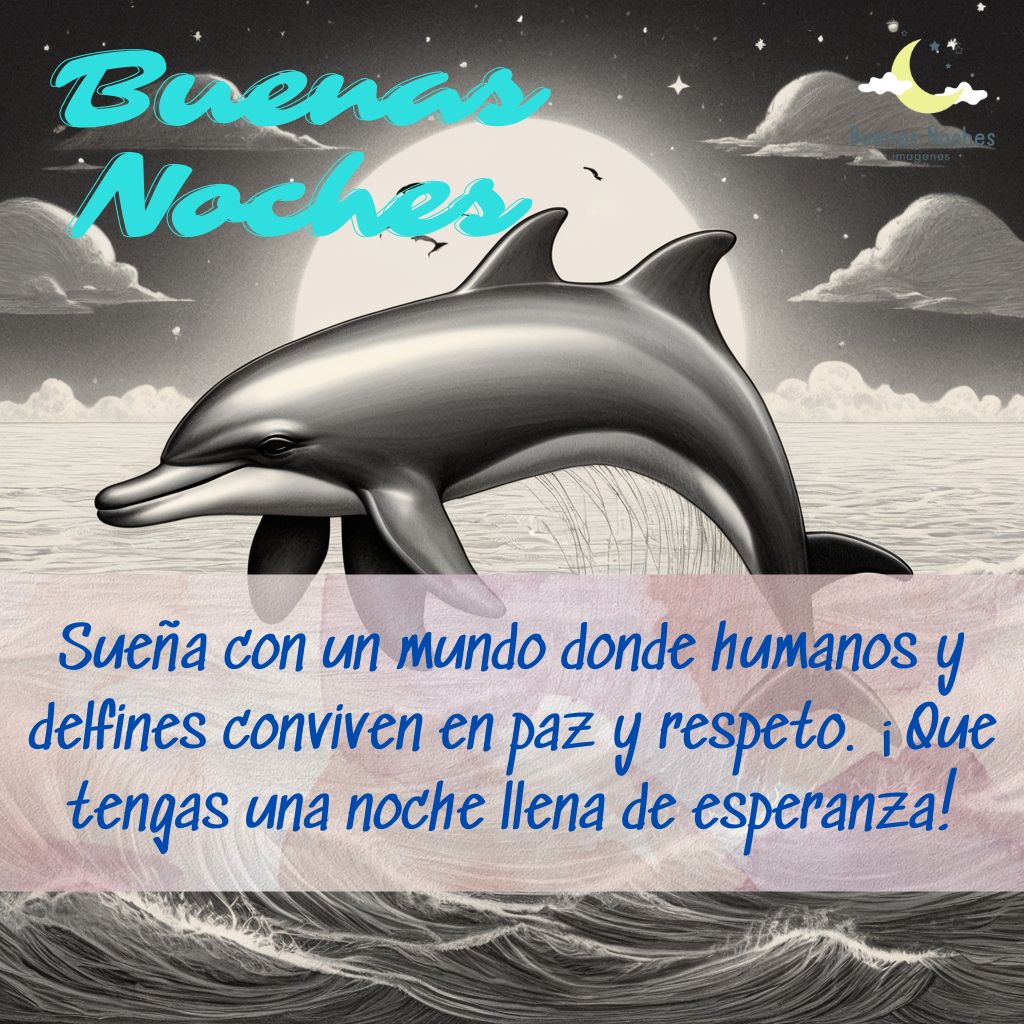 Imagenes de buenas noches con delfines 8