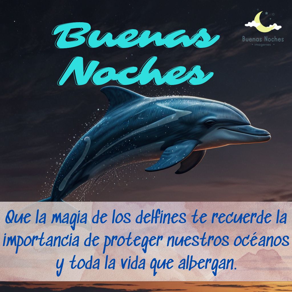 Imagenes de buenas noches con delfines 9