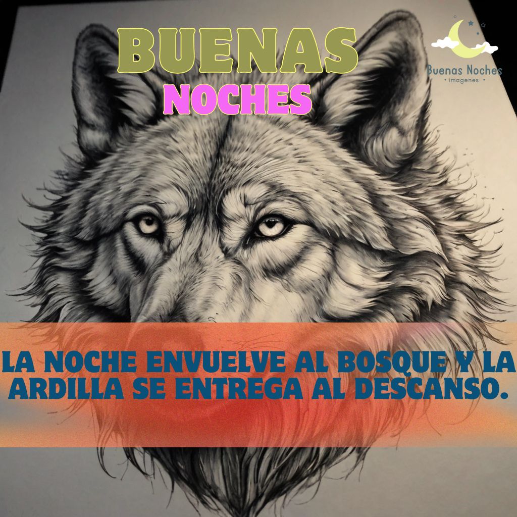 Imagenes de buenas noches con lobos 18