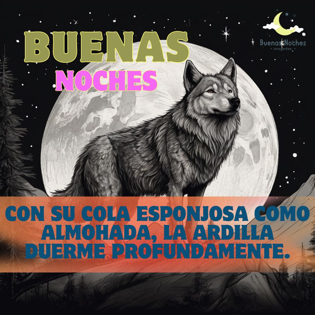 Imagenes de buenas noches con lobos 21