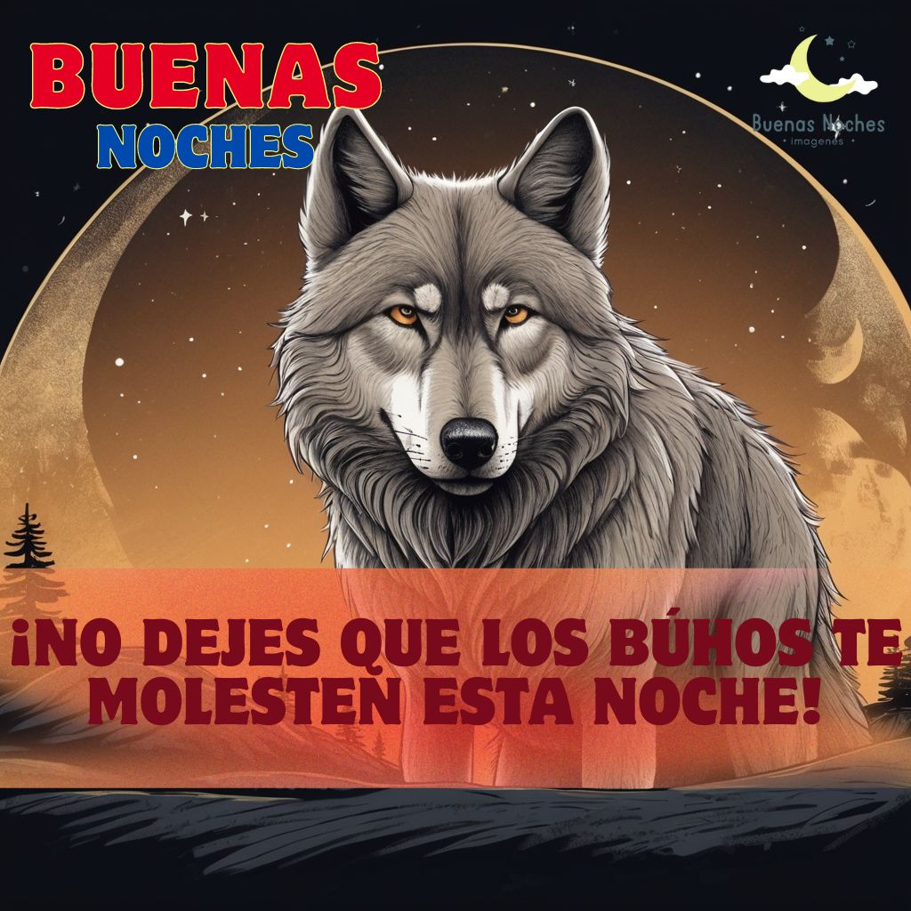 Imagenes de buenas noches con lobos 5