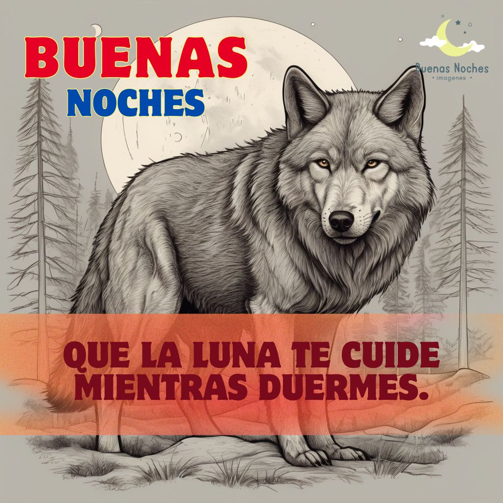 Imagenes de buenas noches con lobos 9