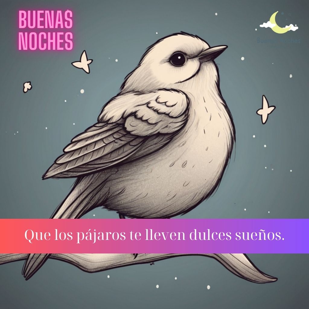 Imagenes de buenas noches con pajaros 1