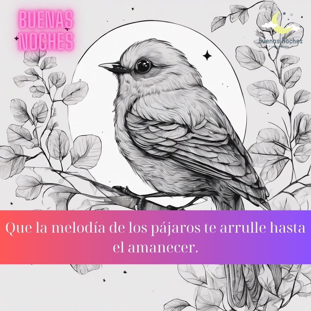 Imagenes de buenas noches con pajaros 10