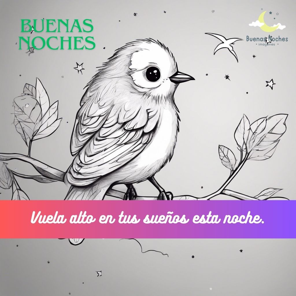 Imagenes de buenas noches con pajaros 11