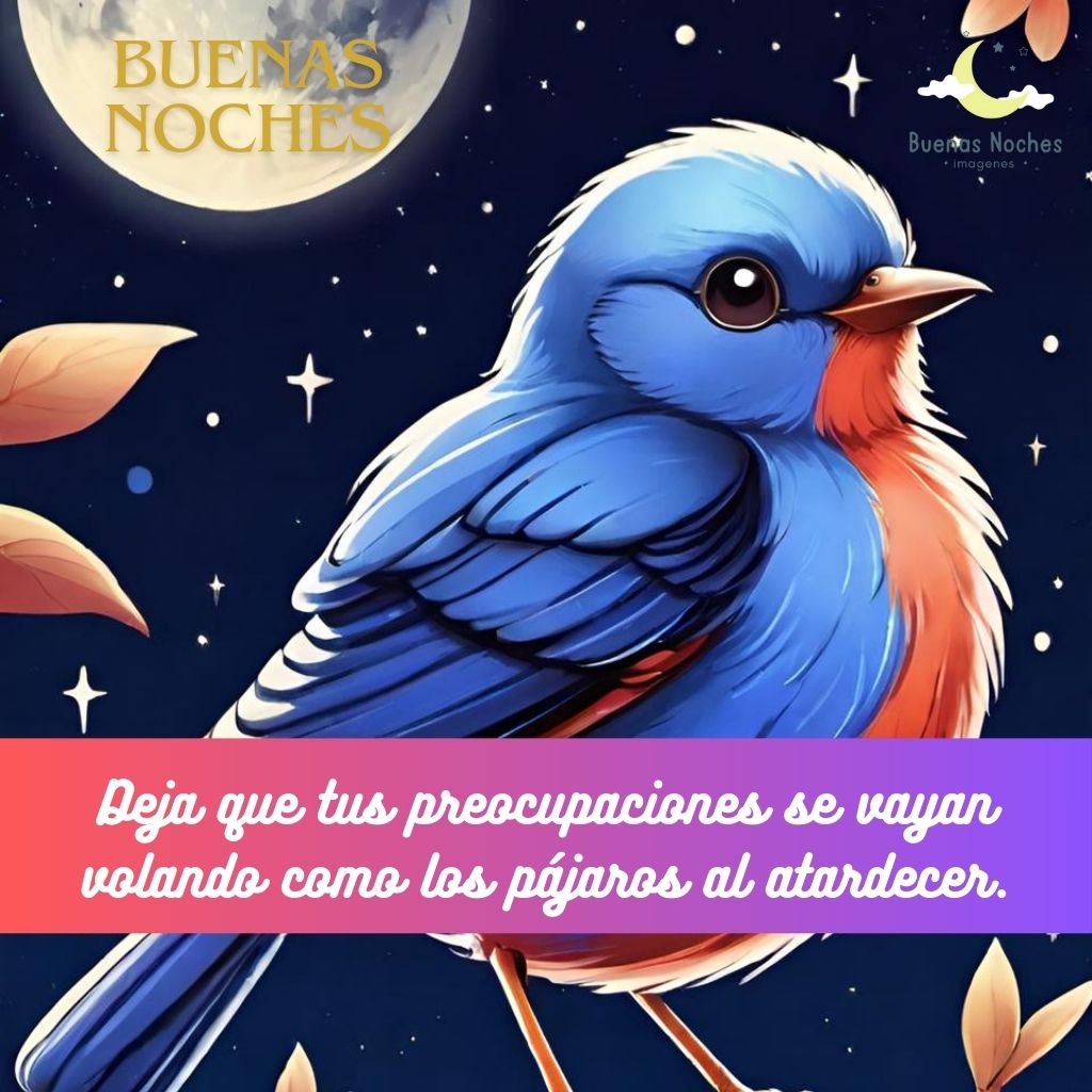 Imagenes de buenas noches con pajaros 12