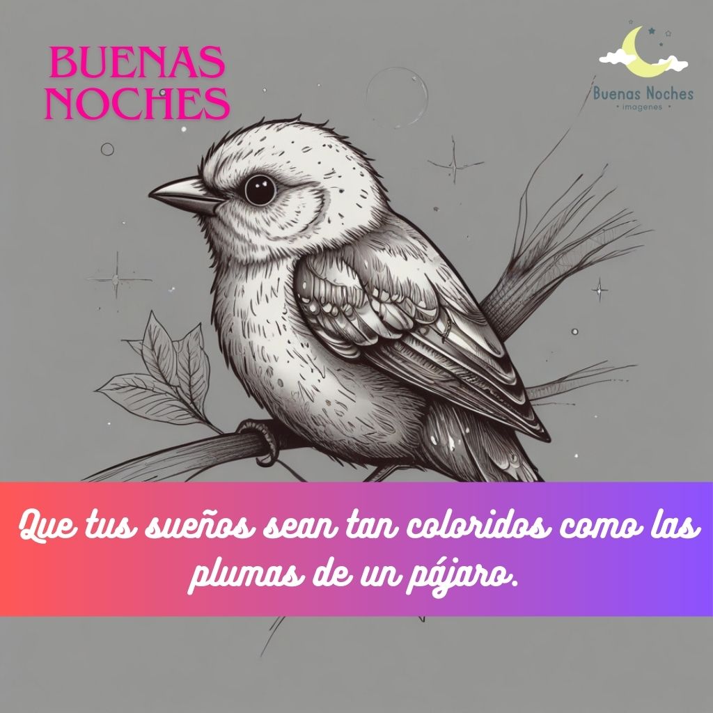 Imagenes de buenas noches con pajaros 13